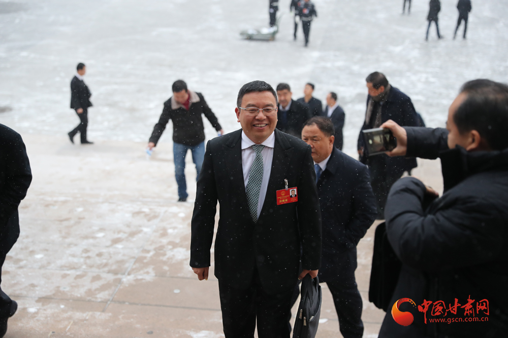 【聚焦2020甘肅兩會】“兩會”代表、委員風采掠影（組圖）