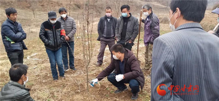 【甘肅全民戰(zhàn)“疫”】隴南徽縣：花椒田里培訓(xùn)忙，戰(zhàn)疫春耕兩不誤