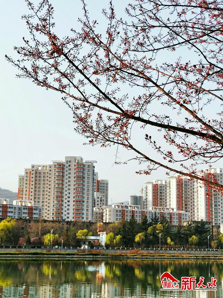 春天，古城天水的十個(gè)美麗瞬間