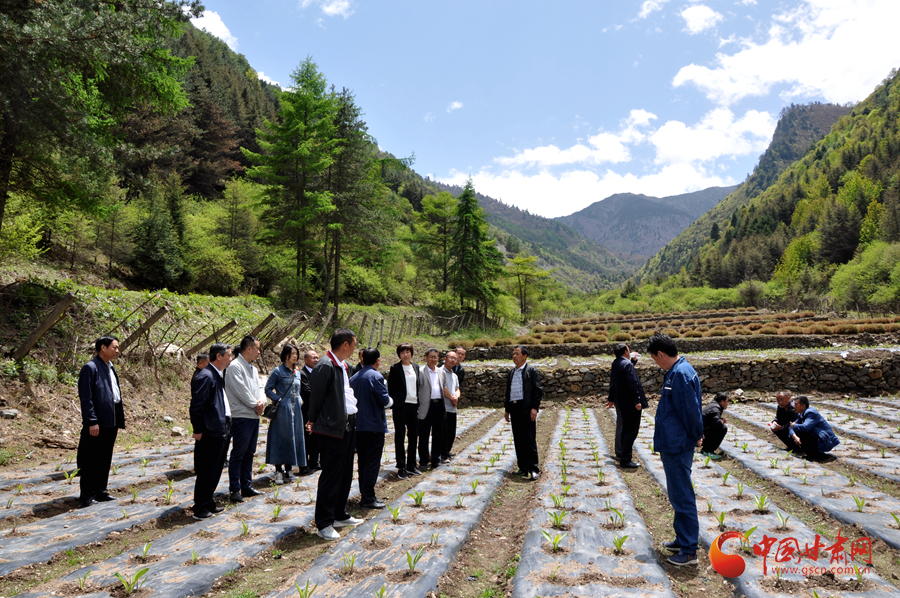 白龍江博峪河保護局開展產業(yè)發(fā)展、義務勞動成果現場觀摩交流活動