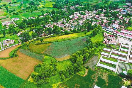 【溫暖的回響 滄桑巨變 飲水思源】這條路，通往幸福