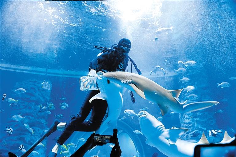 蘭州海洋公園 金昌火星1號(hào)基地 這個(gè)暑假我們“上天入?！?>
        </a><em>蘭州海洋公園 金昌火星1號(hào)基地 這個(gè)暑假我們“上天入海”</em></li>
    <li><a  target=