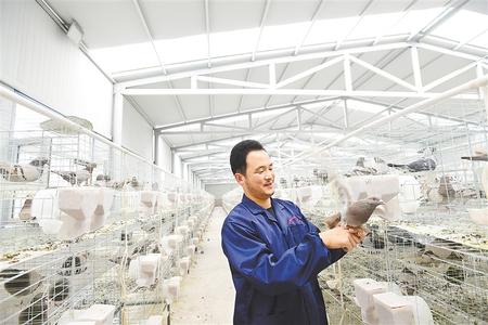 凝心聚力 并肩作戰(zhàn)——天津市薊州區(qū)與古浪縣東西部扶貧協作工作紀實