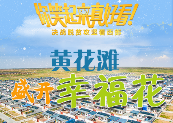 【你笑起來真好看】黃花灘盛開幸?；ǎ▓D解）