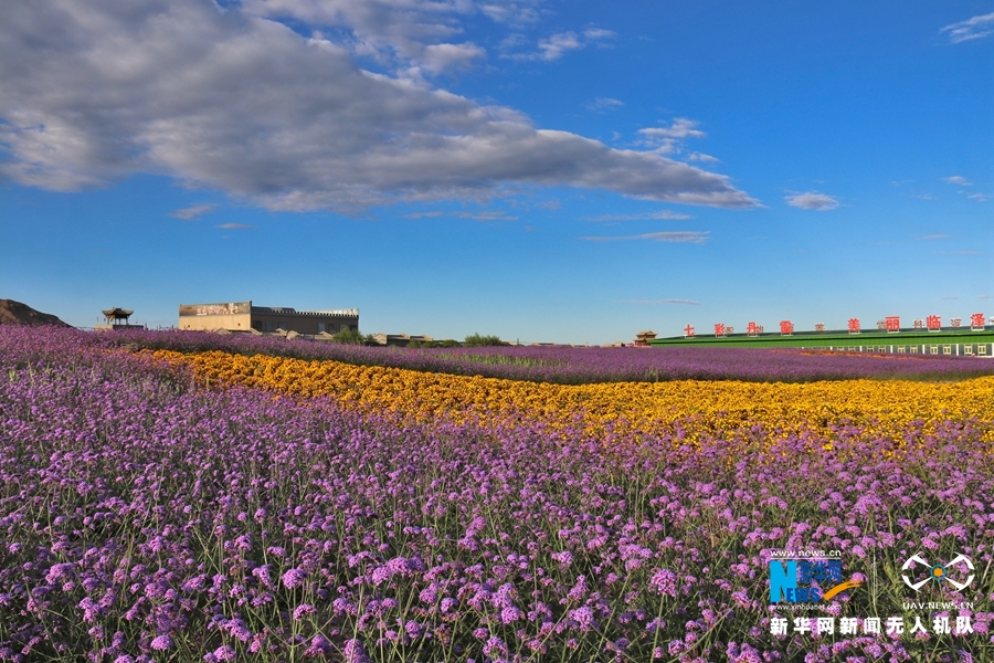 【“飛閱”中國】鳳凰花?！罢钩帷钡は伎?>
        </a><em>【“飛閱”中國】鳳凰花海“展翅”丹霞口</em></li>
    <li><a  target=