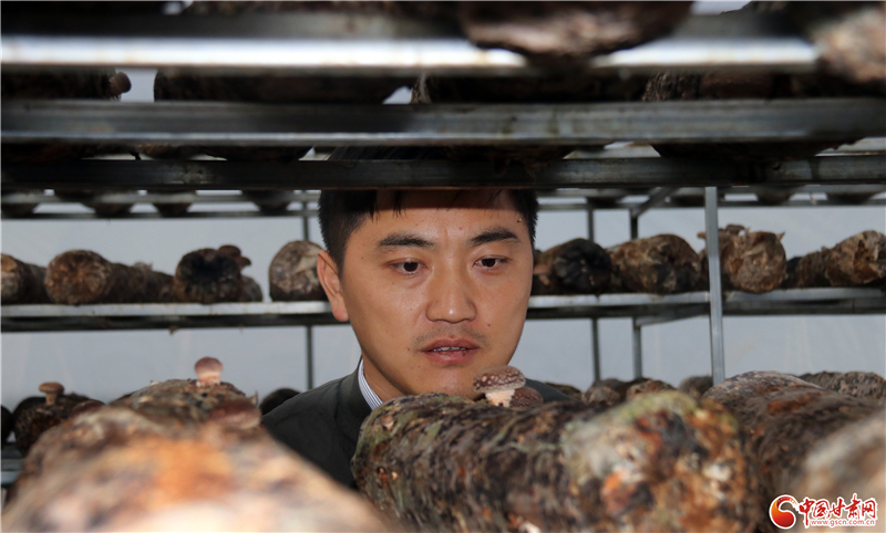 110年！何家溝村終于有了集體經(jīng)濟(jì)——中建二局黨建結(jié)對幫扶成效顯著