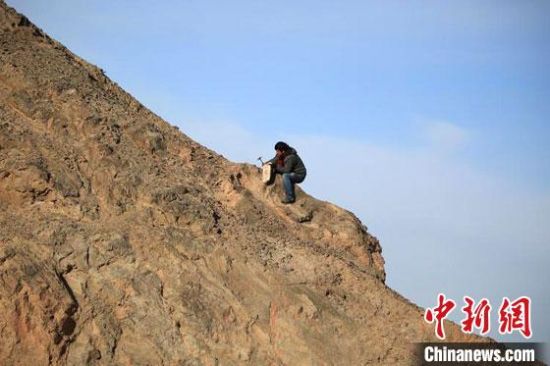 圖為敦煌“80后”畫家張杰龍?jiān)诙鼗腿Ｉ嚼锊杉V石顏料。(資料圖)受訪者供圖