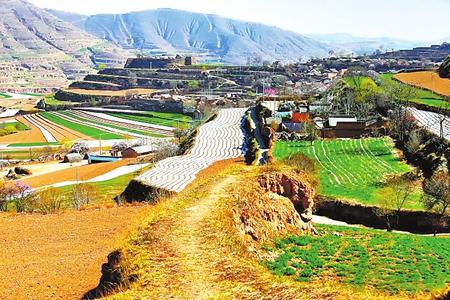 【印象隴原】隴上農(nóng)家皆詩(shī)意 鄉(xiāng)村美景入書畫