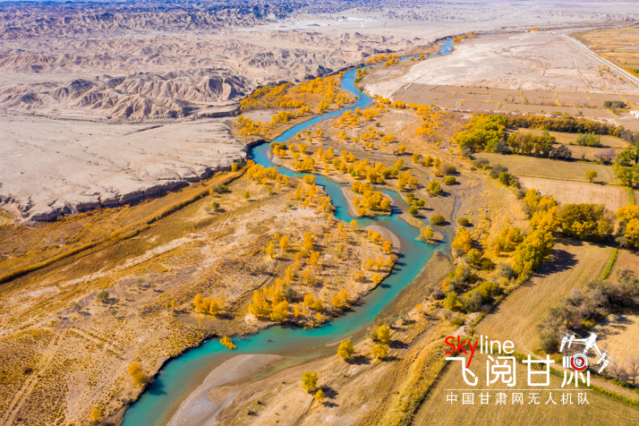 【飛閱甘肅】好美！疏勒河畔大地斑斕