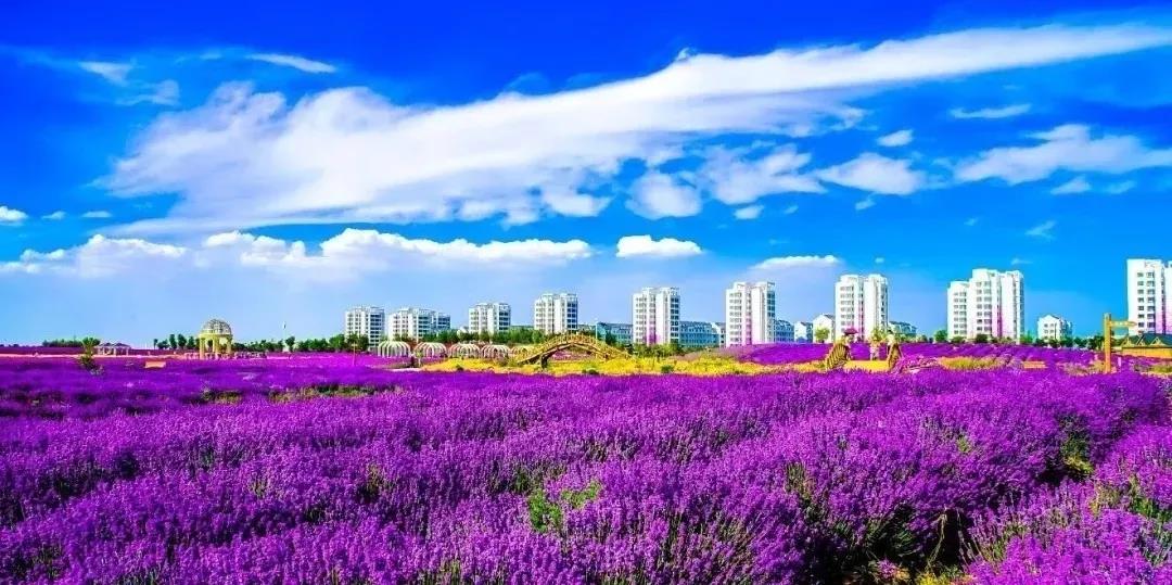 喜訊！金昌蟬聯(lián)全國文明城市