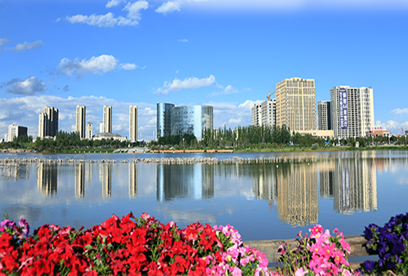 圖解|蘭州新區(qū)：“花樣經(jīng)濟”別樣紅 