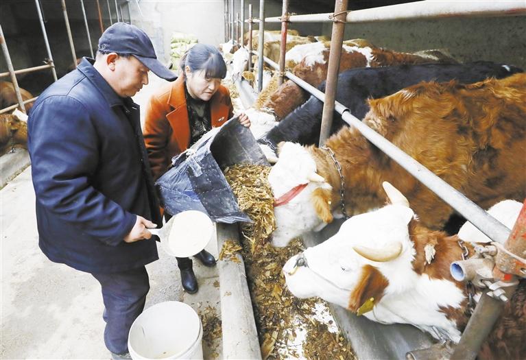 我和我的家鄉(xiāng)丨定西臨洮縣黨家墩村：“?！碑a(chǎn)業(yè)帶來“?！比兆?>
        </a><em>我和我的家鄉(xiāng)丨定西臨洮縣黨家墩村：“?！碑a(chǎn)業(yè)帶來“?！比兆?/em></li>
    <li><a  target=