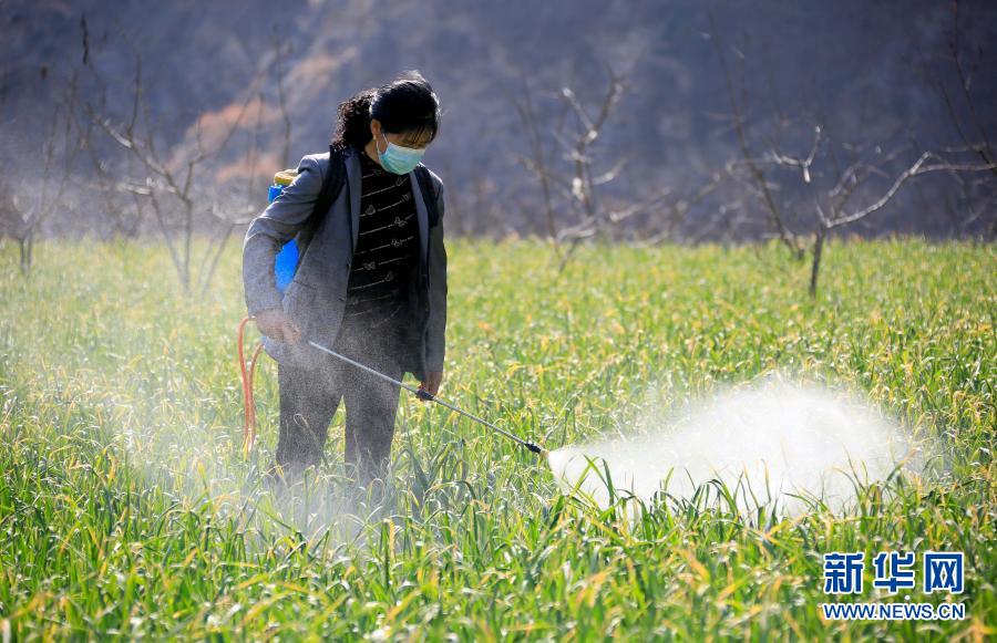 雨水時(shí)節(jié)農(nóng)事忙