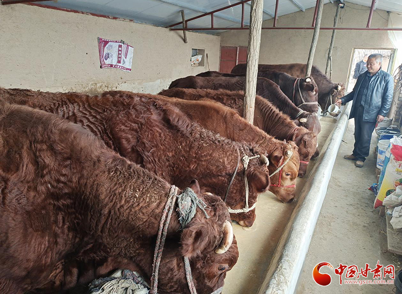 平?jīng)鰶艽ǎ骸芭！碑a(chǎn)業(yè)鋪就致富路