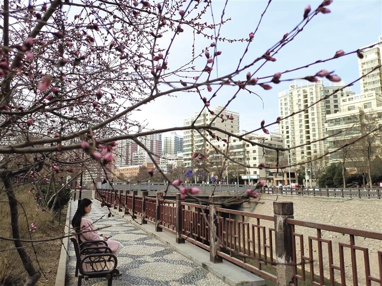 蘭州“第一朵花”開(kāi)了！