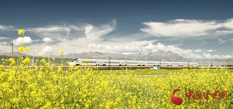 坐上火車“邂逅”春天，你可以這樣享“鐵路游”