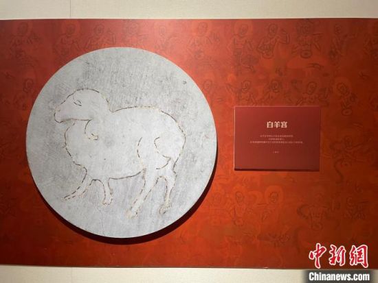 圖為展覽現(xiàn)場(chǎng)?！〗瓧顭?攝