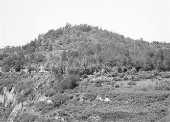 歷史眼丨張果老是正寧人？他與甘肅福緣不淺