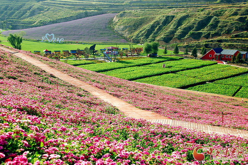 “如意甘肅鄉(xiāng)約打卡”網絡主題宣傳活動走進榆中李家莊田園綜合體