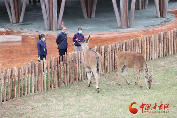 蘭州野生動物園自12月18日起開通自駕游 試運(yùn)營期間收費(fèi)100元/輛