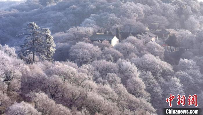 圖為霧凇美景?！⌒煺袢A 攝