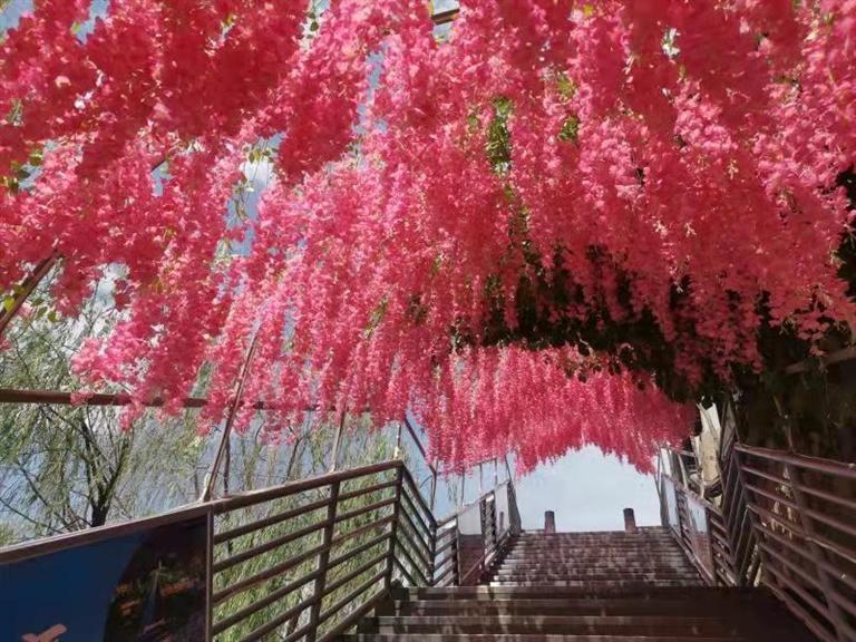 蘭州：黃河風(fēng)情線(xiàn)上享幸福