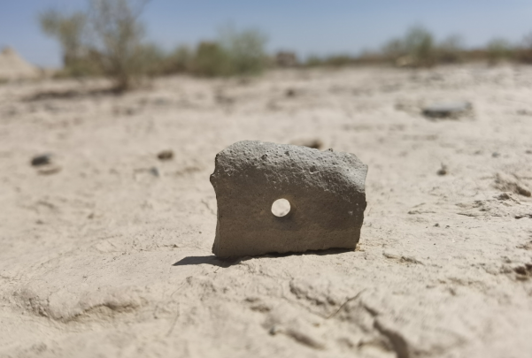 插圖1：河西走廊上遺存的古陶片。攝影：陳曉斌。拍攝日期：2020年6月。