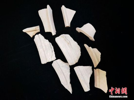 圖為靜寧縣賈河鄉(xiāng)竇坪村出土的彩陶片、紅陶片。 夏劍鋒 攝