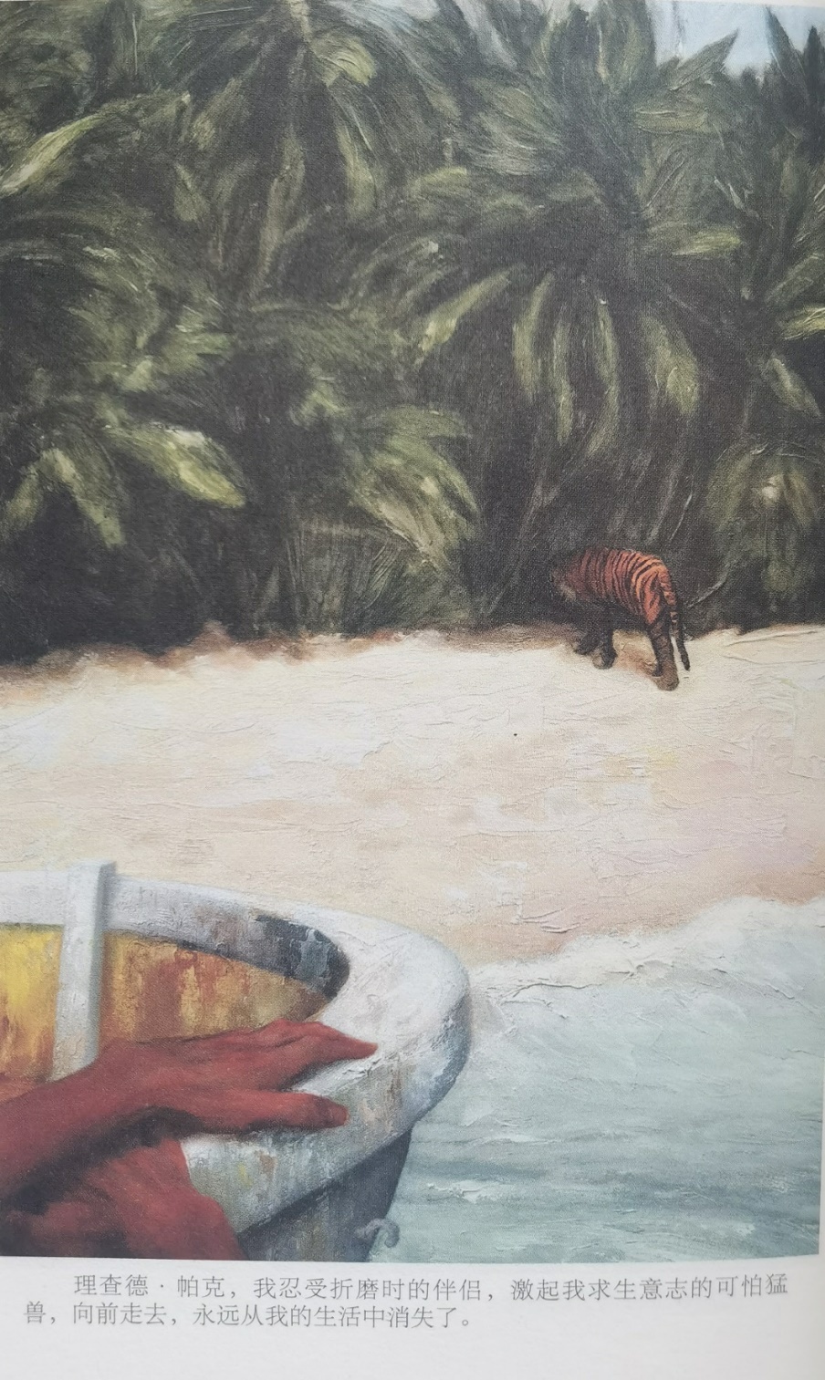 插圖3：揚(yáng)？馬特爾的小說《少年pi的奇幻漂流》插圖