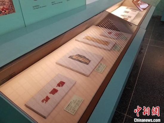 圖為展覽現(xiàn)場?！《鼗脱芯吭汗﹫D