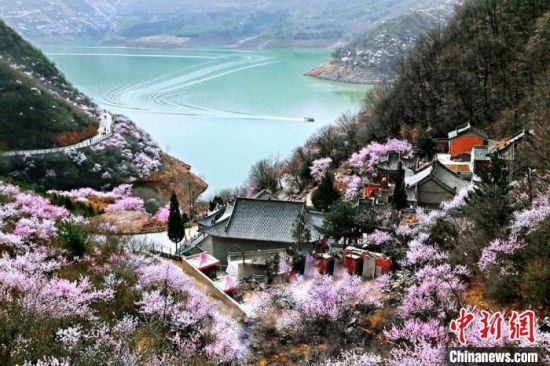 甘肅平?jīng)鍪惺侵袊鴥?yōu)秀旅游城市。圖為平?jīng)鲠轻忌较率锾一ㄊ㈤_。(資料圖) 平?jīng)鍪形麄鞑抗﹫D