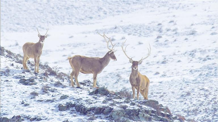 甘肅紀(jì)錄片——深入現(xiàn)實生活 抒寫時代變化