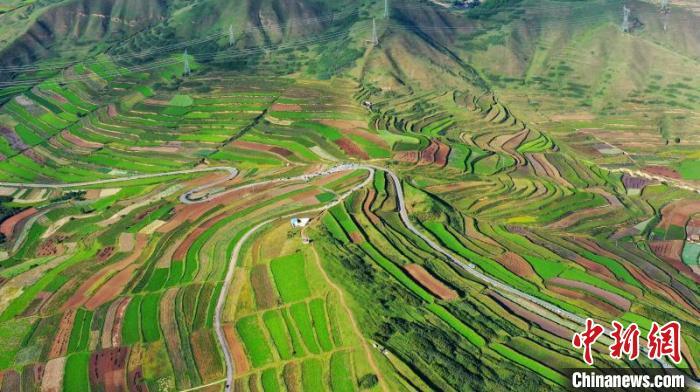 秋日里，榆中縣馬坡鄉(xiāng)千畝梯田，不同農(nóng)作物漸趨成熟，呈現(xiàn)出多種色彩，宛若大地的“調(diào)色盤”?！圆?攝