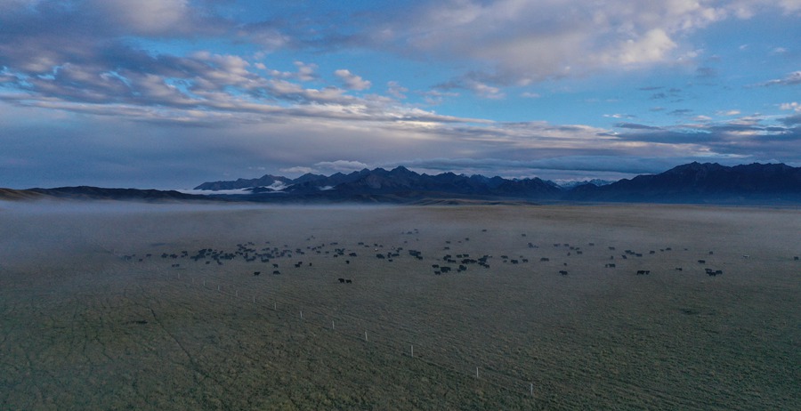 甘肅山丹馬場(chǎng)：峽谷云霧似仙境。 王超攝