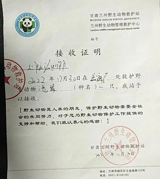 受到救助的池鷺被蘭州野生動物保護站接收。（蘭州市公安局七里河分局供圖）