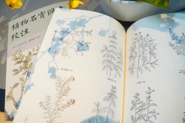 《植物名實圖考校注》內(nèi)頁。圖片來源：中華書局供圖