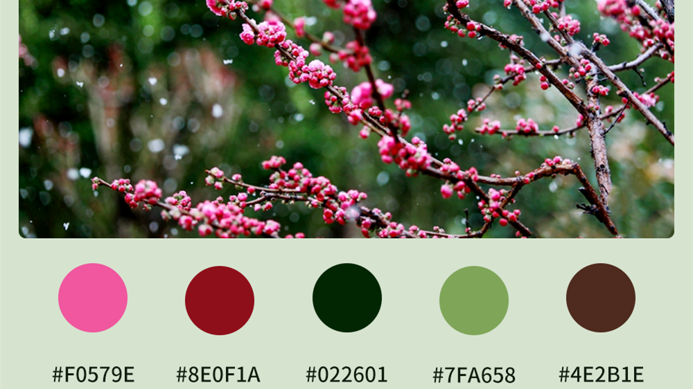 微海報(bào)|收藏！色卡里的春日甘肅