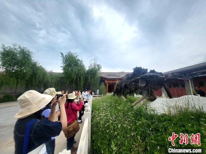 圖為媒體記者在青海永錄民俗參觀采訪?！⊙Φ?攝