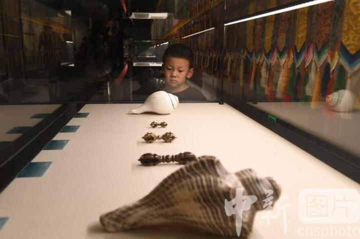 圖為展出的“白海螺法器”吸引小觀眾。 中新社記者 戴文昌 攝