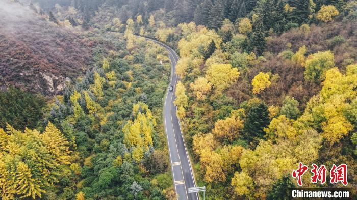 深秋，航拍位于蘭州市榆中縣的興隆山，景色如畫。金峯 攝</p>
<p>