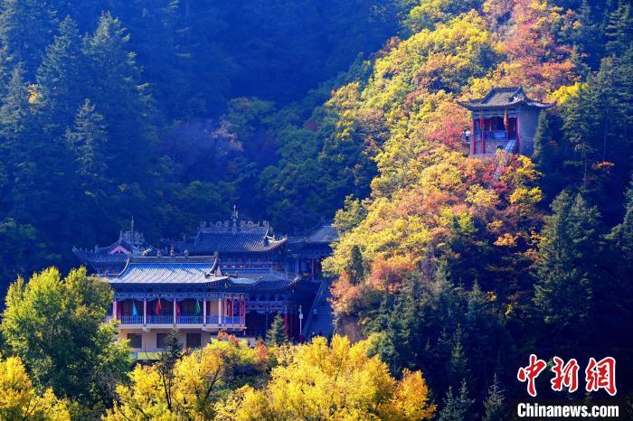 深秋，位于蘭州市榆中縣的興隆山景色如畫。宮衛(wèi)紅 攝