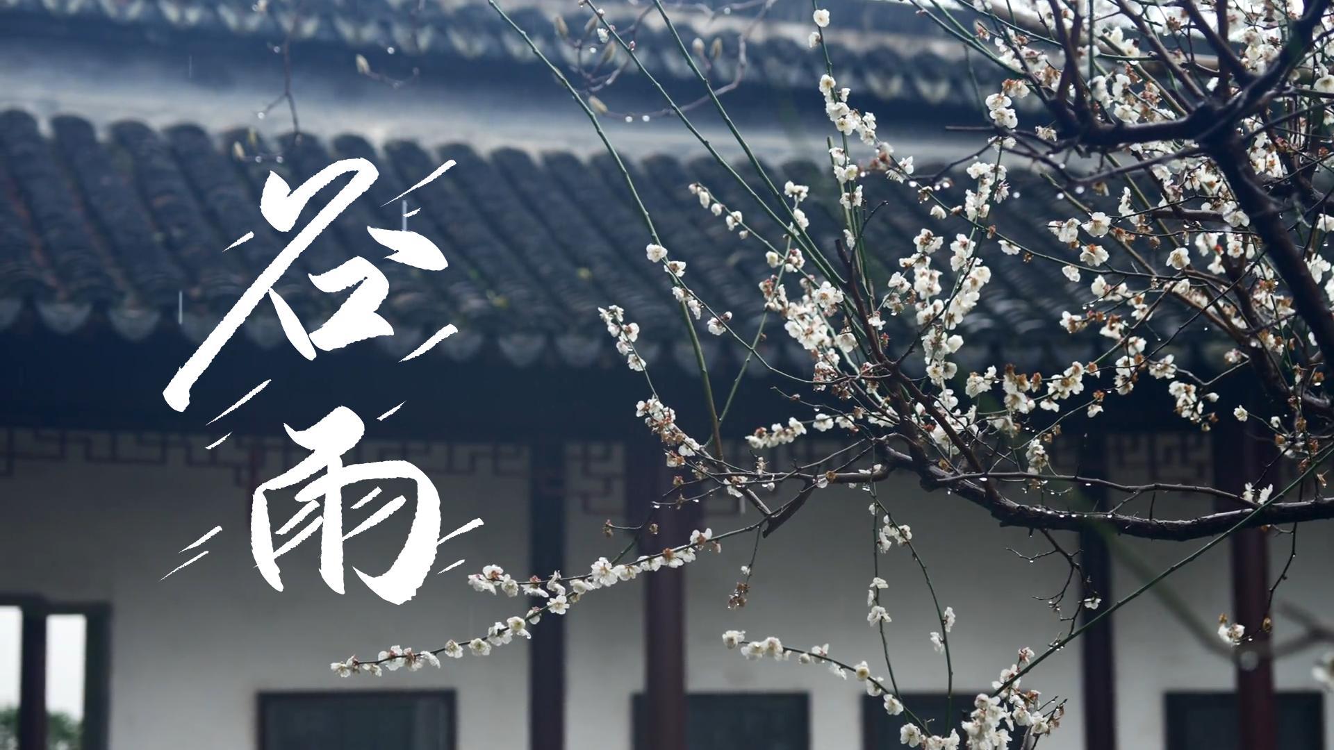 【節(jié)氣里的大美甘肅】谷雨，春天的最后一次回眸