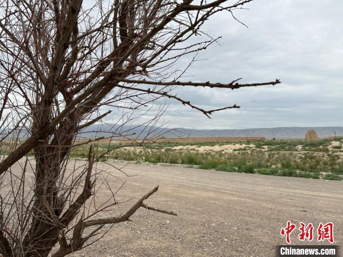 圖為位于長城墻體上的“馬面”或“敵臺(tái)”。　戴文昌 攝