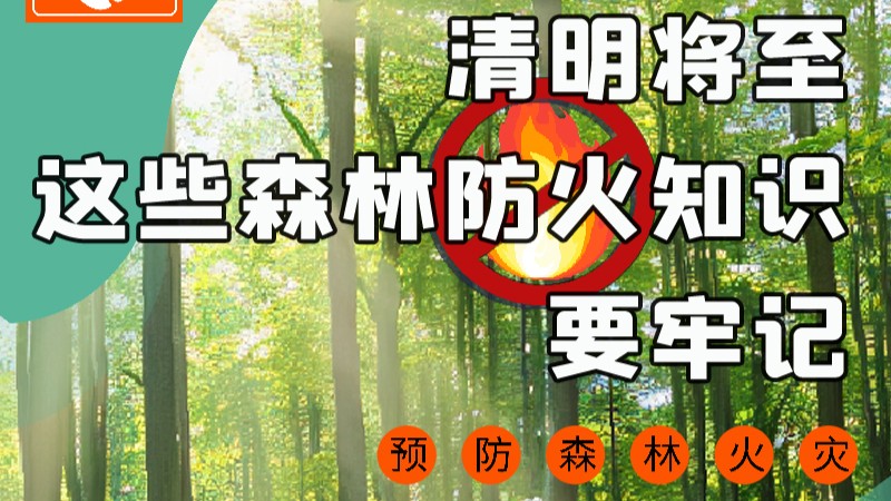 【甘快看】圖解|緊繃“安全弦”！清明，這些森林防火知識(shí)要牢記