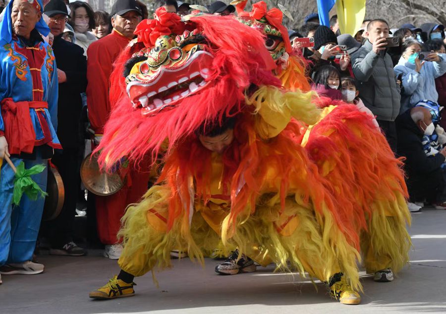 蘭州北獅表演現(xiàn)場。受訪者供圖