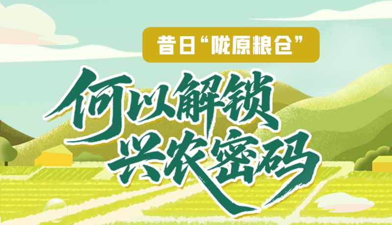 【理響中國·話隴點睛（3）】昔日“隴原糧倉”，何以解鎖“興農(nóng)密碼”