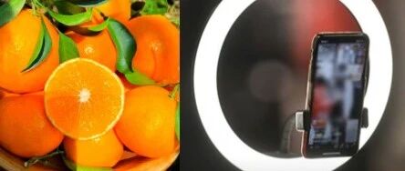 聲稱“橙子提高免疫力”、“悲情助農(nóng)”等類案頻發(fā)，敲響各單位直播帶貨警鐘