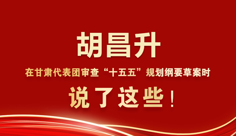 圖解|胡昌升在甘肅代表團(tuán)審查“十五五”規(guī)劃綱要草案時(shí)說(shuō)了這些！