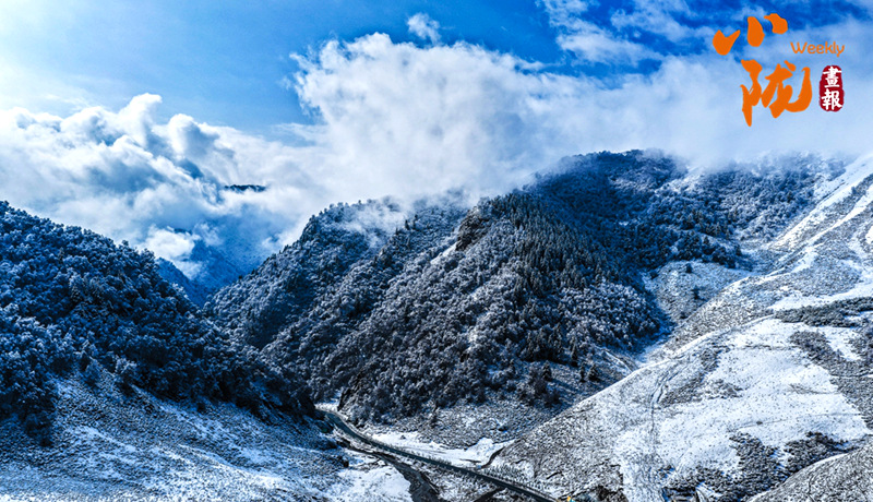 【小隴畫報(bào)·472期】春雪落天祝 揮就一幅潑墨寫意