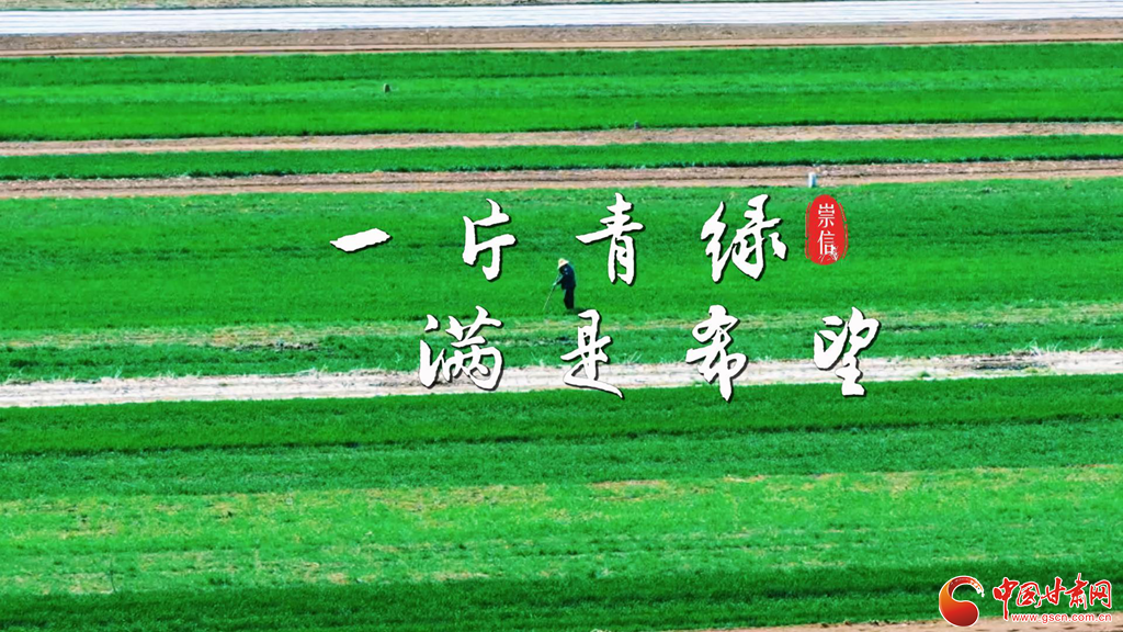 【甘快看】春動(dòng)隴原·隴拍客丨平?jīng)龀缧牛何忠颁伌淅L就春日好“豐”景